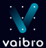 www.vaibro.ai